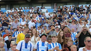 Brighton and Hove Albion vs. Southampton: Premier League Showdown at American Express Community Stadium (24Aug19)