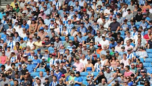 Brighton and Hove Albion vs. Southampton: Premier League Showdown at American Express Community Stadium (24Aug19)