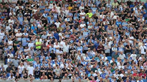 Brighton and Hove Albion vs. Southampton: Premier League Showdown at American Express Community Stadium (24Aug19)