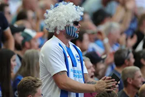 Brighton and Hove Albion vs. Southampton: Premier League Showdown at American Express Community Stadium (24AUG19)