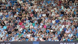 Brighton and Hove Albion vs. Southampton: Premier League Showdown at American Express Community Stadium (24Aug19)
