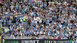 Brighton and Hove Albion vs. Southampton: Premier League Showdown at American Express Community Stadium (24AUG19)