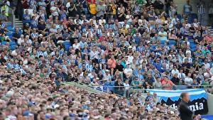 Brighton and Hove Albion vs. Southampton: Premier League Showdown at American Express Community Stadium (24Aug19)