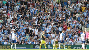 Brighton and Hove Albion vs. Southampton: Premier League Showdown at American Express Community Stadium (24Aug19)