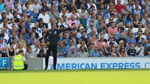 Brighton and Hove Albion vs. Southampton: Premier League Showdown at American Express Community Stadium (24AUG19)