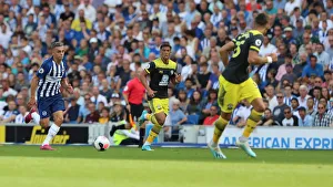 Brighton and Hove Albion vs. Southampton: Premier League Showdown at American Express Community Stadium (24Aug19)