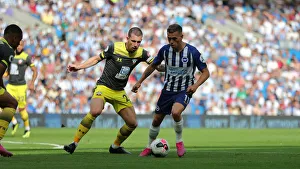 Brighton and Hove Albion vs. Southampton: Premier League Showdown at American Express Community Stadium (24Aug19)