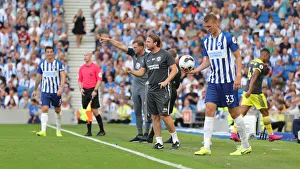 Brighton and Hove Albion vs. Southampton: Premier League Showdown at American Express Community Stadium (24Aug19)