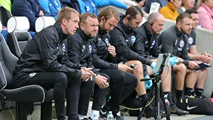 Brighton and Hove Albion vs. Tottenham Hotspur: Premier League Showdown at American Express Community Stadium (5th October 2019)
