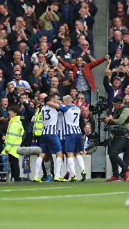 Brighton & Hove Albion vs. Tottenham Hotspur: Premier League Showdown at American Express Community Stadium (5th October 2019)