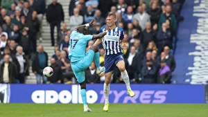 Brighton & Hove Albion vs. Tottenham Hotspur: Premier League Showdown at American Express Community Stadium (5th October 2019)