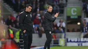 Brighton and Hove Albion vs. Everton: A Premier League Showdown at American Express Community Stadium (26OCT19)