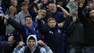 Brighton and Hove Albion vs. Everton: Premier League Showdown at American Express Community Stadium (26OCT19)