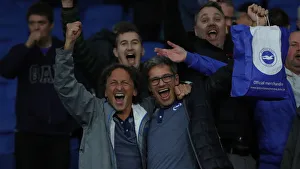 Brighton and Hove Albion vs. Everton: A Premier League Showdown at American Express Community Stadium (26OCT19)
