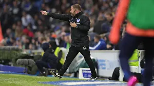 Brighton and Hove Albion vs. Everton: A Premier League Showdown at American Express Community Stadium (26OCT19)