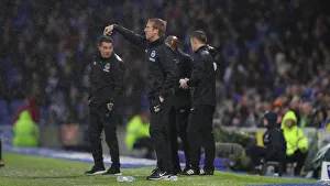 Brighton and Hove Albion vs. Everton: Premier League Showdown at American Express Community Stadium (26OCT19)