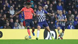 Brighton and Hove Albion vs. Everton: A Premier League Showdown at American Express Community Stadium (26OCT19)