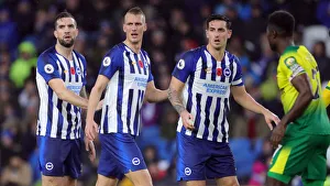Brighton and Hove Albion vs. Norwich City: Premier League Showdown at American Express Community Stadium (November 2, 2019)