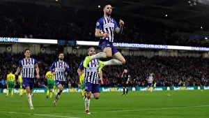Brighton and Hove Albion vs. Norwich City: Premier League Showdown at American Express Community Stadium (November 2019)