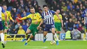 Brighton and Hove Albion vs. Norwich City: Premier League Showdown at American Express Community Stadium (November 2, 2019)