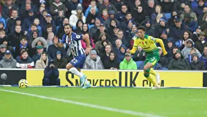 Brighton and Hove Albion vs. Norwich City: Premier League Showdown at American Express Community Stadium (November 2, 2019)