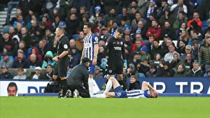 Brighton and Hove Albion vs. Norwich City: Premier League Showdown at American Express Community Stadium (November 2, 2019)