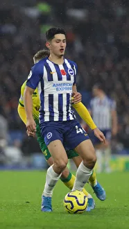 Brighton and Hove Albion vs. Norwich City: Premier League Showdown at American Express Community Stadium (November 2, 2019)