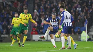 Brighton and Hove Albion vs. Norwich City: Premier League Showdown at American Express Community Stadium (November 2, 2019)
