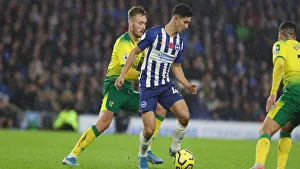 Brighton and Hove Albion vs. Norwich City: Premier League Showdown at American Express Community Stadium (November 2, 2019)