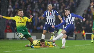 Brighton and Hove Albion vs. Norwich City: Premier League Showdown at American Express Community Stadium (November 2, 2019)