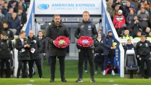Brighton and Hove Albion vs. Norwich City: Premier League Showdown at American Express Community Stadium (November 2, 2019)
