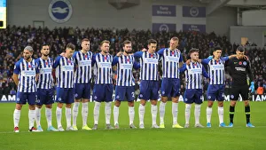 Brighton and Hove Albion vs. Norwich City: Premier League Showdown at American Express Community Stadium (November 2, 2019)