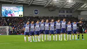 Brighton and Hove Albion vs. Norwich City: Premier League Showdown at American Express Community Stadium (November 2, 2019)