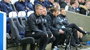Brighton and Hove Albion vs. Norwich City: Premier League Showdown at American Express Community Stadium (November 2, 2019)