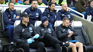 Brighton and Hove Albion vs. Norwich City: Premier League Showdown at American Express Community Stadium (November 2, 2019)