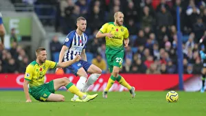 Brighton and Hove Albion vs. Norwich City: Premier League Showdown at American Express Community Stadium (November 2, 2019)