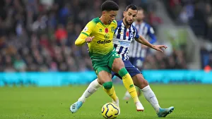 Brighton and Hove Albion vs. Norwich City: Premier League Showdown at American Express Community Stadium (November 2, 2019)