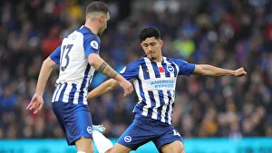 Brighton and Hove Albion vs. Norwich City: Premier League Showdown at American Express Community Stadium (November 2, 2019)