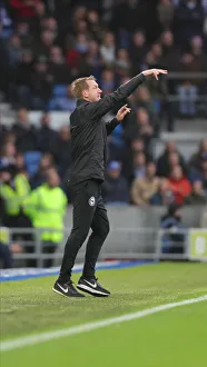 Brighton and Hove Albion vs. Norwich City: Premier League Showdown at American Express Community Stadium (November 2, 2019)