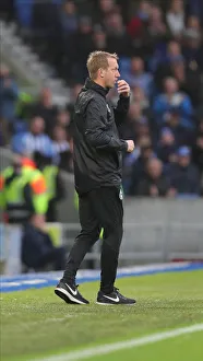 Brighton and Hove Albion vs. Norwich City: Premier League Showdown at American Express Community Stadium (November 2, 2019)