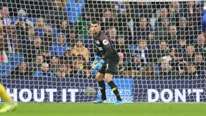 Brighton and Hove Albion vs. Norwich City: Premier League Showdown at American Express Community Stadium (November 2, 2019)
