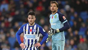 Brighton & Hove Albion vs. Norwich City: Premier League Showdown at American Express Community Stadium (November 2, 2019)