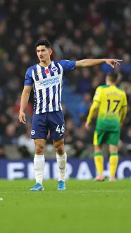 Brighton and Hove Albion vs. Norwich City: Premier League Showdown at American Express Community Stadium (November 2, 2019)