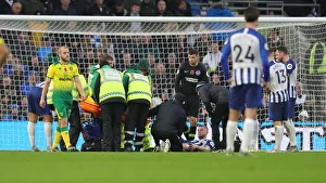Brighton and Hove Albion vs. Norwich City: Premier League Showdown at American Express Community Stadium (November 2, 2019)