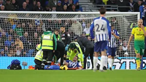 Brighton and Hove Albion vs. Norwich City: Premier League Showdown at American Express Community Stadium (November 2, 2019)