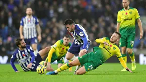 Brighton and Hove Albion vs. Norwich City: Premier League Showdown at American Express Community Stadium (November 2, 2019)