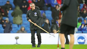 Brighton and Hove Albion vs. Norwich City: Premier League Showdown at American Express Community Stadium (November 2, 2019)