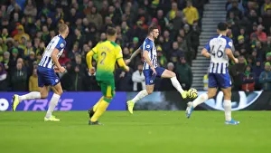 Brighton and Hove Albion vs. Norwich City: Premier League Showdown at American Express Community Stadium (November 2, 2019)