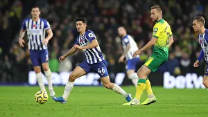 Brighton and Hove Albion vs. Norwich City: Premier League Showdown at American Express Community Stadium (November 2, 2019)