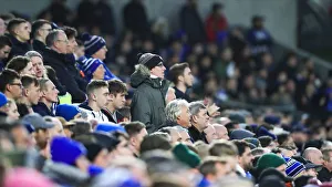 Brighton and Hove Albion vs. Norwich City: Premier League Showdown at American Express Community Stadium (November 2, 2019)